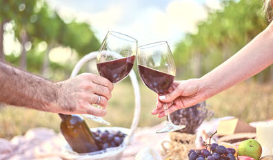 Jsme partnerem Mělnického vinobraní