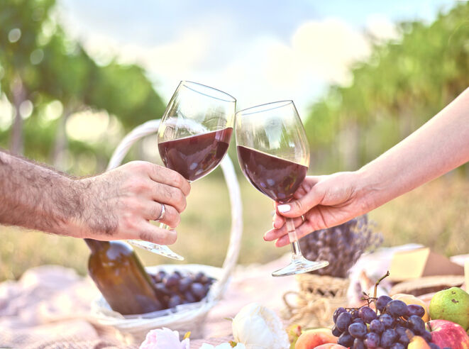 Jsme partnerem Mělnického vinobraní